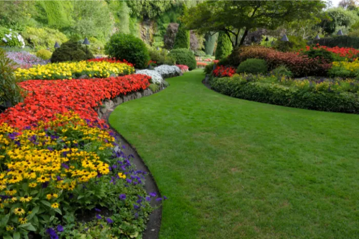 Landscaping Landscaping